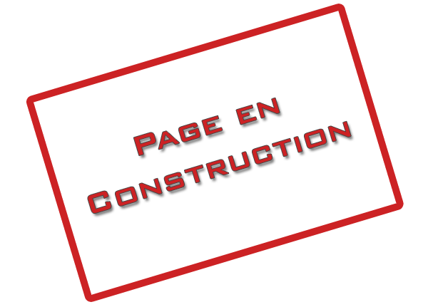 Logo En Construction