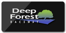 Logo Deep Forest