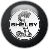 Logo Shelby